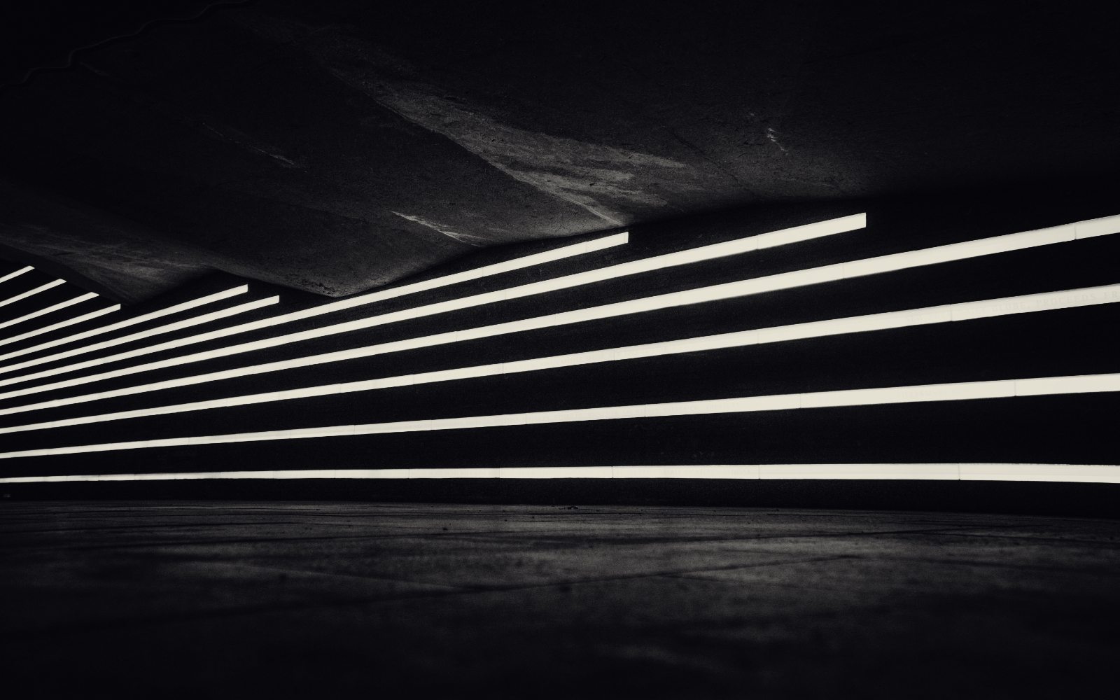 demo-attachment-31-martin-sanchez-NfLZeAN7I6s-unsplash